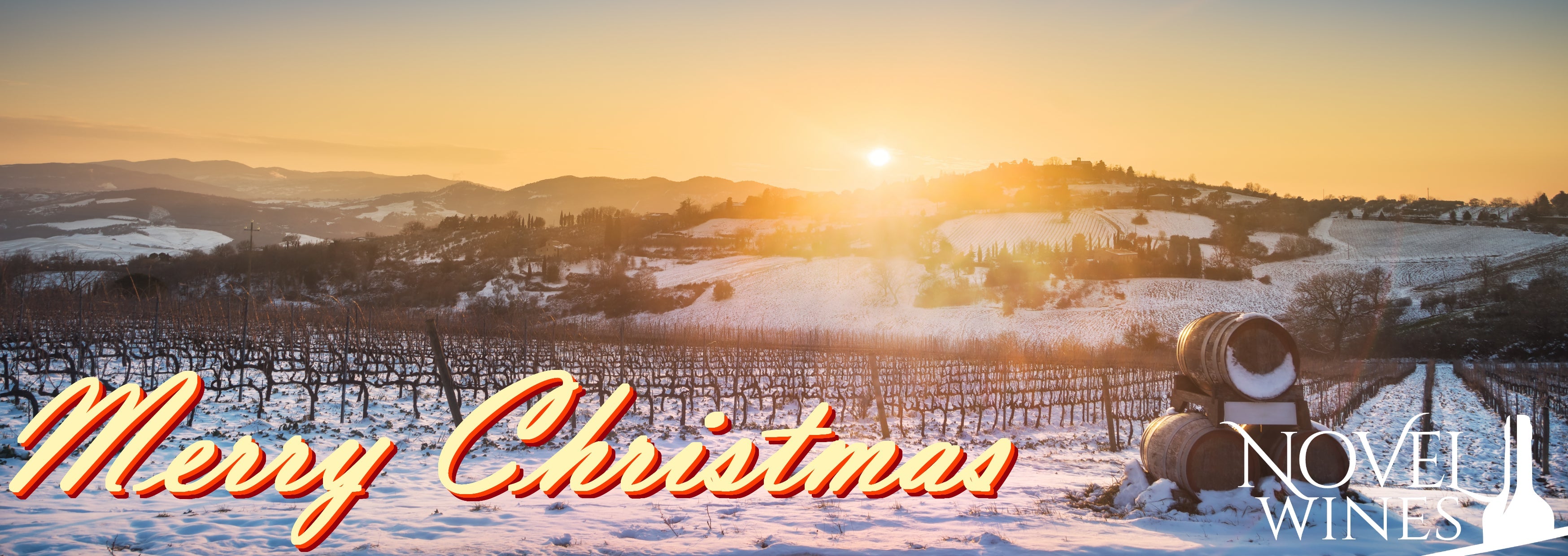 Your Guide to Festive Wines - This Month's Novel Wines Explorer's Club